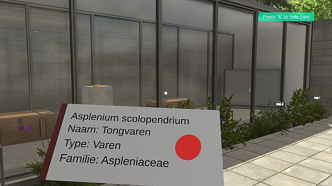 Plant Gallery: A Short Botanic Experience