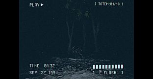 Lost Footage : Sound In The Silence