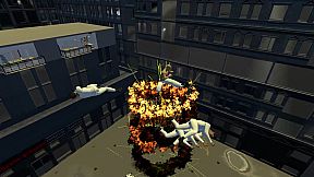 The Legend Of Tiger And Phoenix