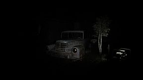 Horror inside the forest