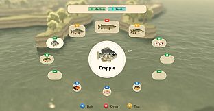 Paddle Cats