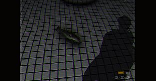 Backrooms: Poolrooms