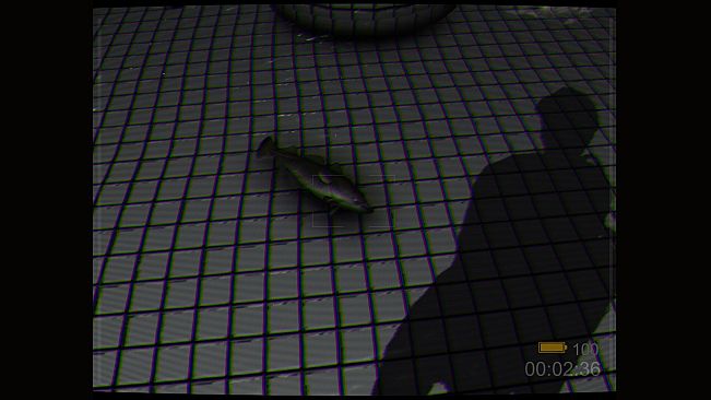 Backrooms: Poolrooms