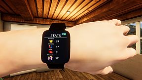 Rock Star Life Simulator