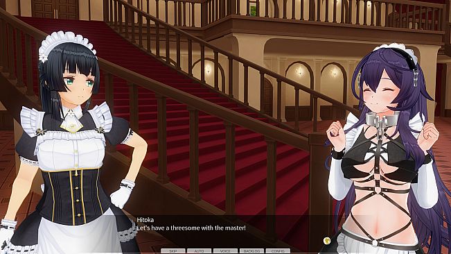 CUSTOM ORDER MAID 3D2 Character EX Pack Perverted Extreme Masochist