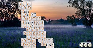 Solitaire Flowerscapes