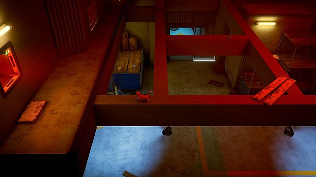 Schrodinger's Cat Burglar