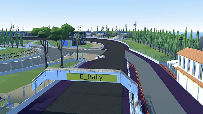E-Rally: The Linear Function Racer