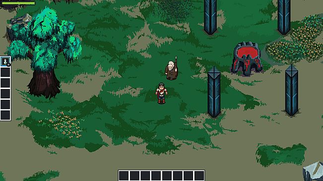 Blind wizard's assistant