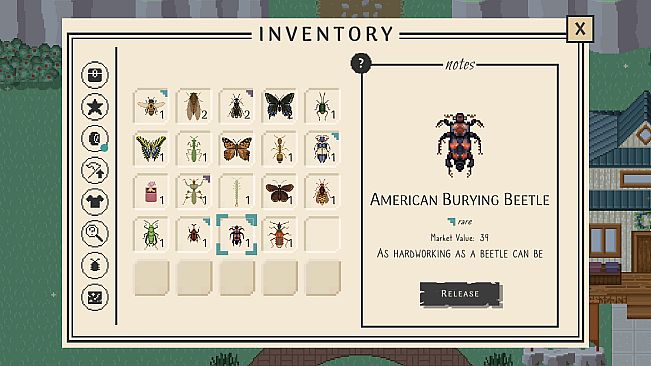 Bug & Seek - Community Collection