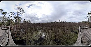 Exhale XR - Graceful Skies