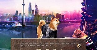 A Summer with the Shiba Inu