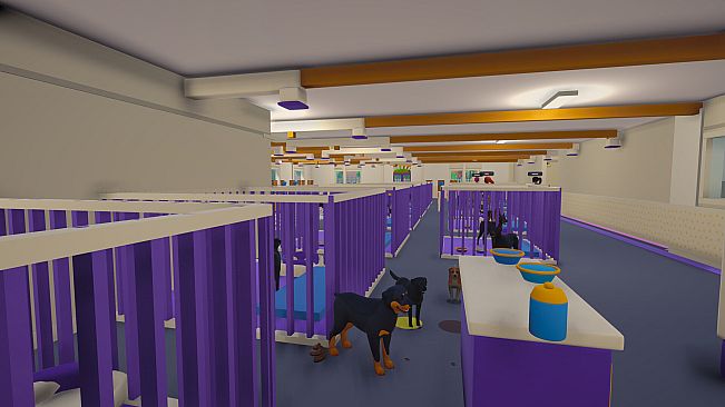 Kennel Chaos
