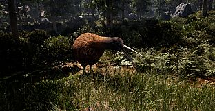 Icarus: Matariki Mission