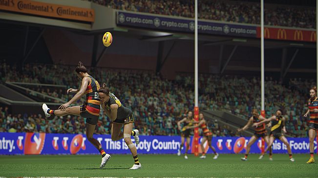 AFL 26 - PRO TEAM BUNDLE