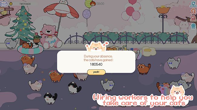 猫语拾光 Cat And Life