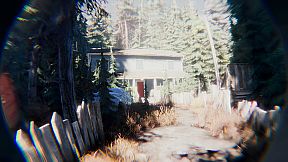 BoneField: Bodycam Horror