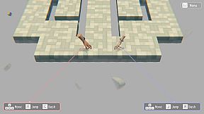 Hypotheses on the Symmetry between Vision and Hands