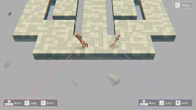 Hypotheses on the Symmetry between Vision and Hands