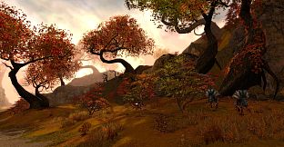 Guild Wars Eye of the North