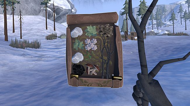 Frost Survival VR - Supporter (Back) Pack