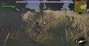 Android Amazones - Season 2