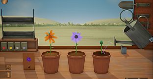 Hour Flowers