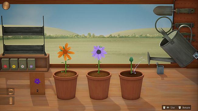 Hour Flowers