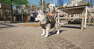 Quarantine Zone: The Last Check - Miami Supporter Pack