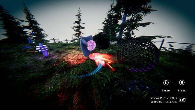 Vision Quest: A New Ascent
