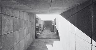 ノースウェステリアの子供