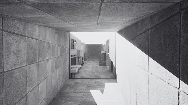 ノースウェステリアの子供