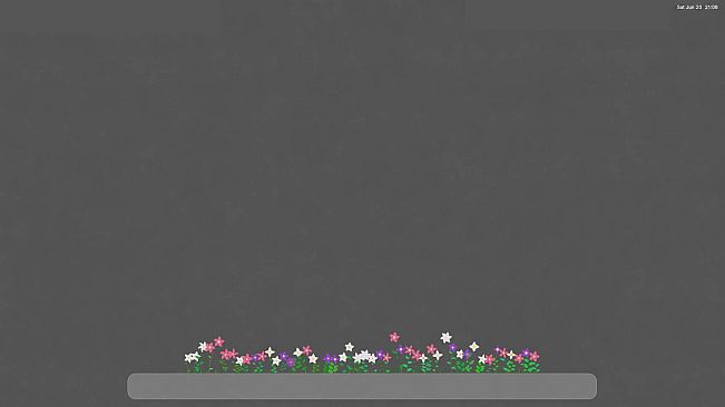 Butterflies & Bloom
