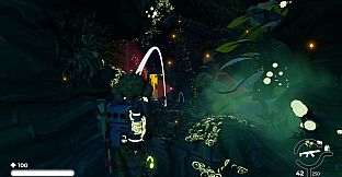 Primate: Father of Universe