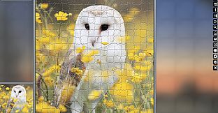 Jigsaw Puzzle Pack - Pixel Puzzles Ultimate: Variety Pack 5