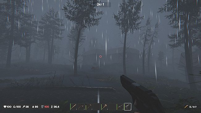 The Silent Wild