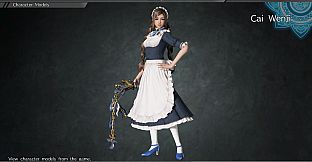 DYNASTY WARRIORS 9: Cai Wenji (Maid Costume) / 蔡文姫 「メイド風コスチューム」
