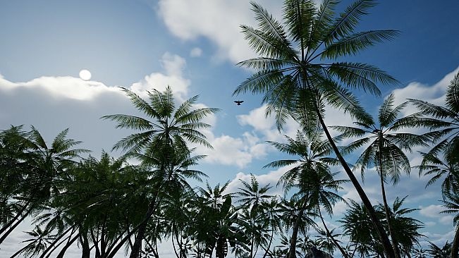 KeepUp Survival - Tropical Island Map