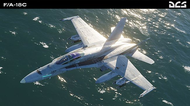 DCS: F/A-18C