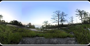 Exhale XR - Magical Woodlands