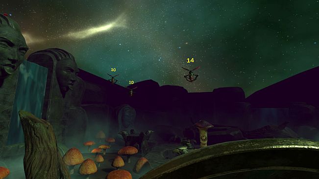 A Fungus In My Garden