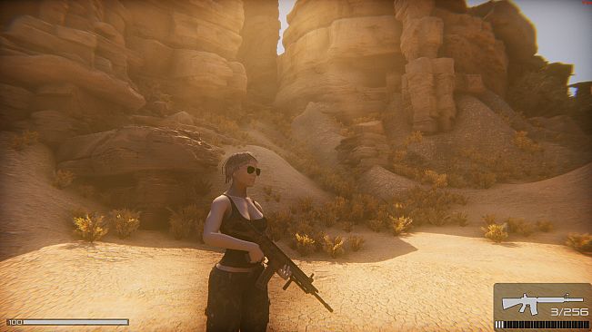 Infiltration: Alone in Combat