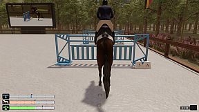 Pro Show Jumping