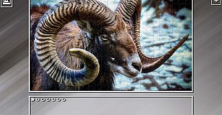 Super Jigsaw Puzzle: Generations - Random Animals Puzzles