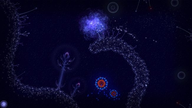 Microcosmum: survival of cells - Campaign  "New life"