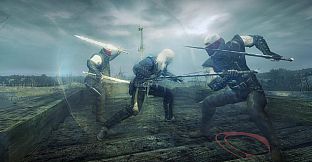 The Witcher: Director's Cut Update