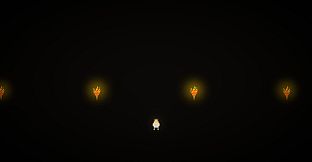 Behind Closed Doors: A Developer's Tale