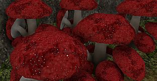 Survival Quest Dungeons and the Beasts