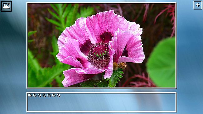 Super Jigsaw Puzzle: Generations - Flowers Puzzles