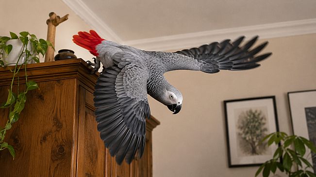 Puzzles Parrots